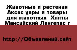 Животные и растения Аксесcуары и товары для животных. Ханты-Мансийский,Лангепас г.